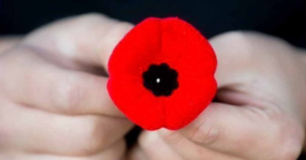 Read more about the article How Remembrance Day Reminds Us to Practice Gratitude