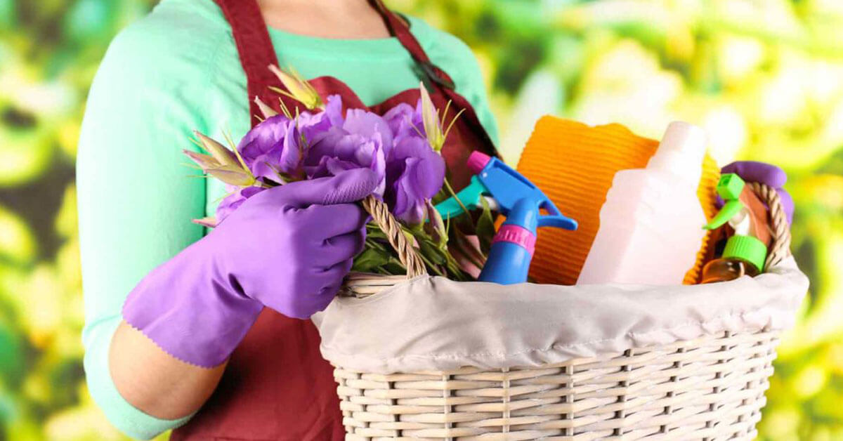 Read more about the article Spring Cleaning
