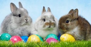Read more about the article 4 Fun Easter Activities – That Don’t Involve Sweets